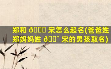 郑和 🕊 宋怎么起名(爸爸姓郑妈妈姓 🐯 宋的男孩取名)
